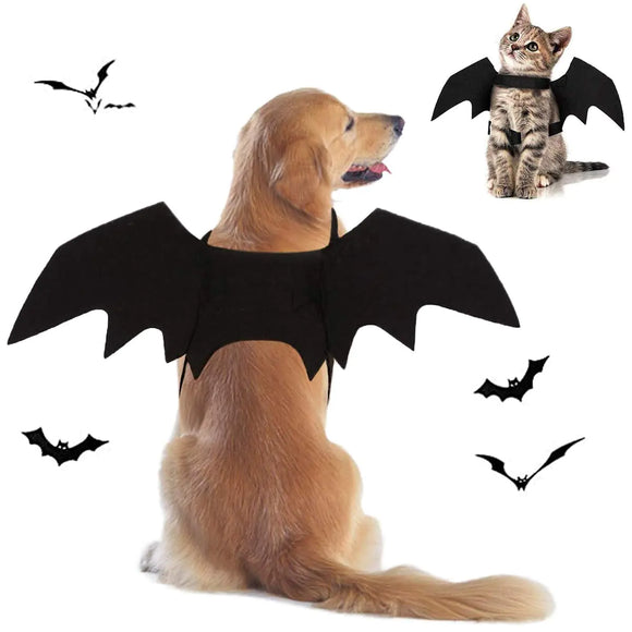 Dog Bat Costume Halloween (Black X-Large)