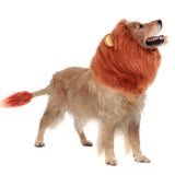 Lion Mane Dog Costume Halloween Brown Size L + Tail Set