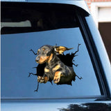 3D Crack Dog Car Sticker Giveaway