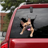 3D Crack Dog Car Sticker