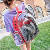 Pet Cat Dog Capsule Transparent Bag