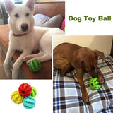 Dog Chew Toy - Special Discount