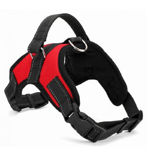 Pet Harness Collar