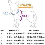 Pet Harness Collar