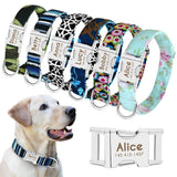 Dog Collar Personalized