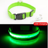 USB Charging LED Dog Collar