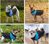 Dog Jacket - Special Discount