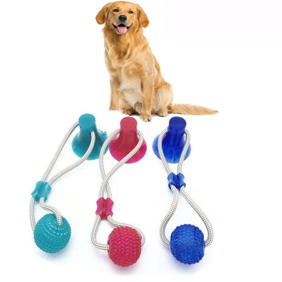 Pet Molar Suction Cup Dog Toy
